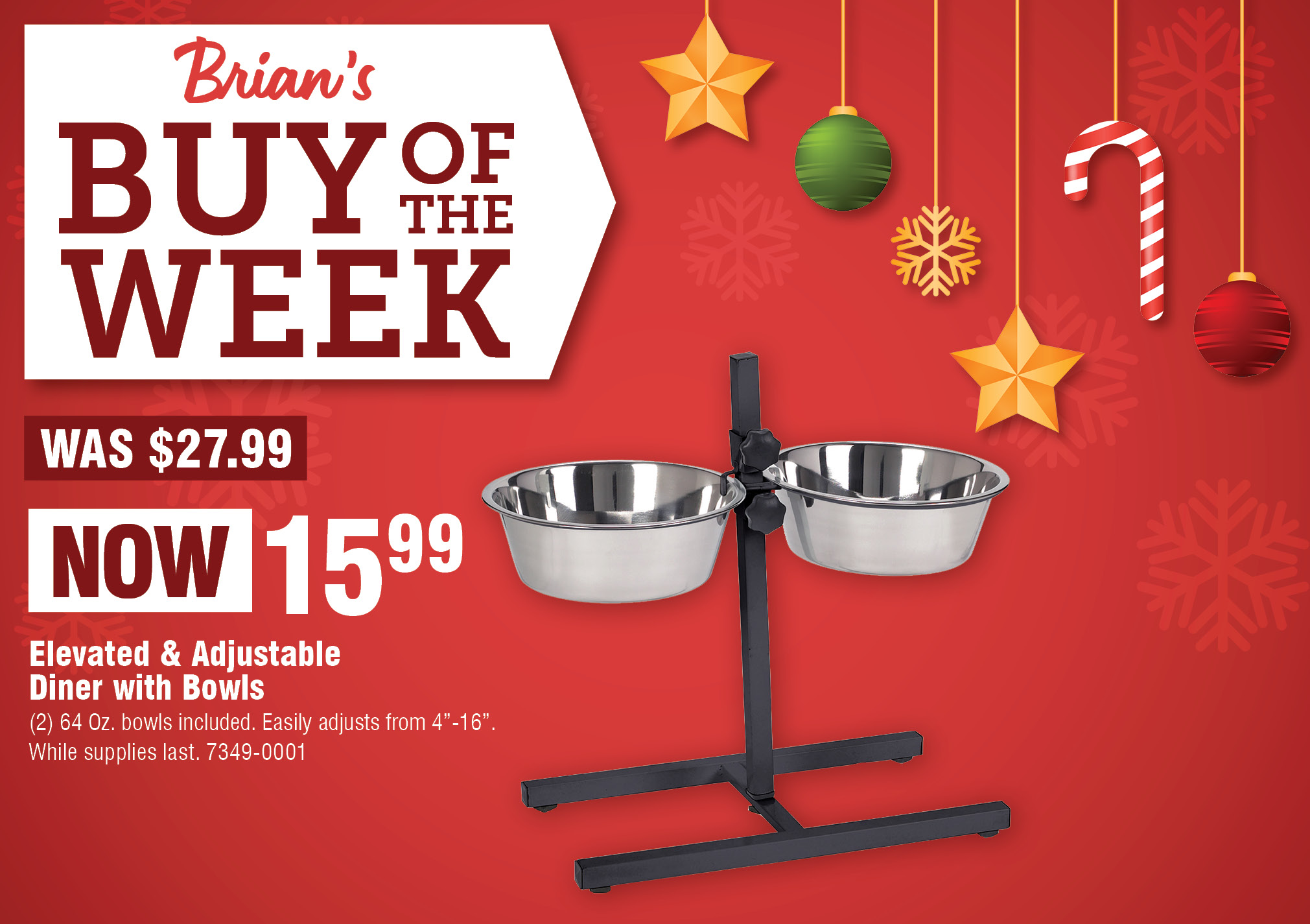 Buy of the Week, Elevated & Adjustable Diner with Bowls